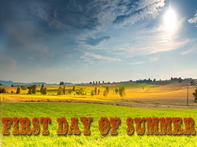 First Day Of Summer | Rob Knowlan